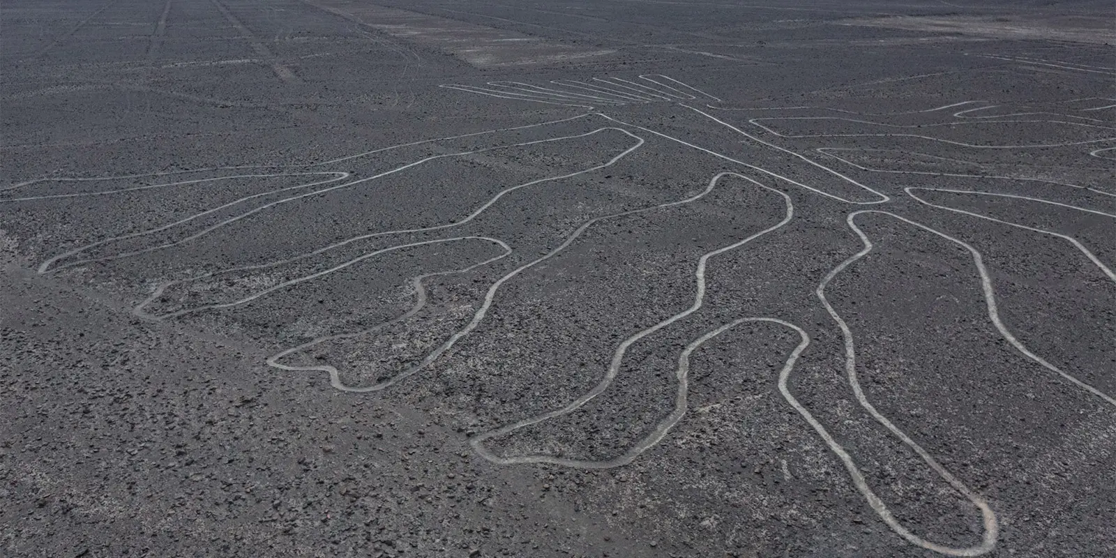 line of nazca