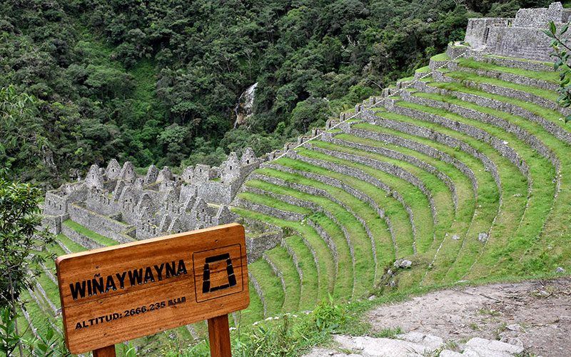 1 day Inca Trail -orange nation peru