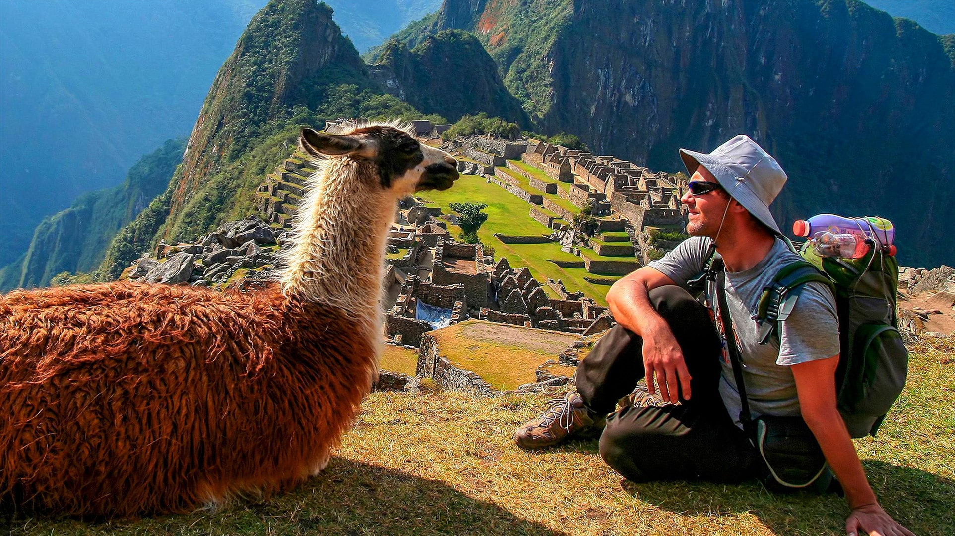 inca trail tourist and llama in machupicchu - Orange Nation