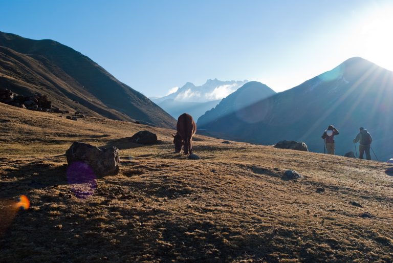 Lares Treks Specialist - Orange Nation