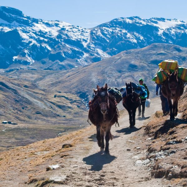 lares treks to machu picchu - Orange Nation