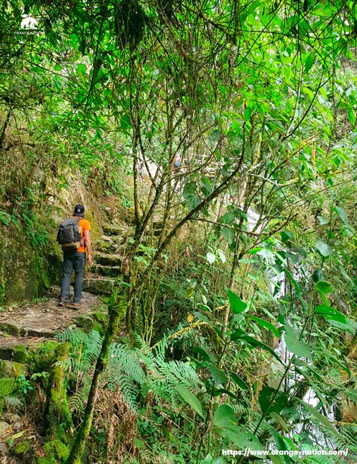 machu picchu express inca trail - Orange Nation